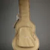 Taylor Guitars T5z Classic Semi-Hollow Electric – New