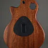 Taylor Guitars T5z Classic Semi-Hollow Electric – New