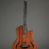 Taylor Guitars T5z Classic Semi-Hollow Electric – New