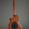 Taylor Guitars T5z Classic Semi-Hollow Electric – New