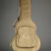 Taylor Guitars T5z Classic Semi-Hollow Electric – New