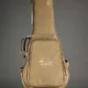 Taylor Jacob Collier GS Mini 5-String Steel String Acoustic Guitar – New