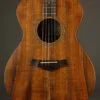 Taylor Jacob Collier Signature Model 5-String Acoustic Electric Guitar – New