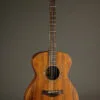 Taylor Jacob Collier Signature Model 5-String Acoustic Electric Guitar – New