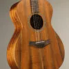 Taylor Jacob Collier Signature Model 5-String Acoustic Electric Guitar – New