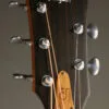 Taylor Jacob Collier Signature Model 5-String Acoustic Electric Guitar – New