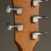 Taylor Jacob Collier Signature Model 5-String Acoustic Electric Guitar – New