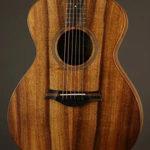 Taylor Jacob Collier Signature Model 6-String Acoustic Electric Guitar – New