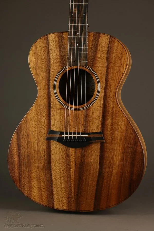 Taylor Jacob Collier Signature Model 6-String Acoustic Electric Guitar – New