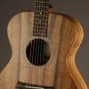 Taylor Jacob Collier Signature Model 6-String Acoustic Electric Guitar – New