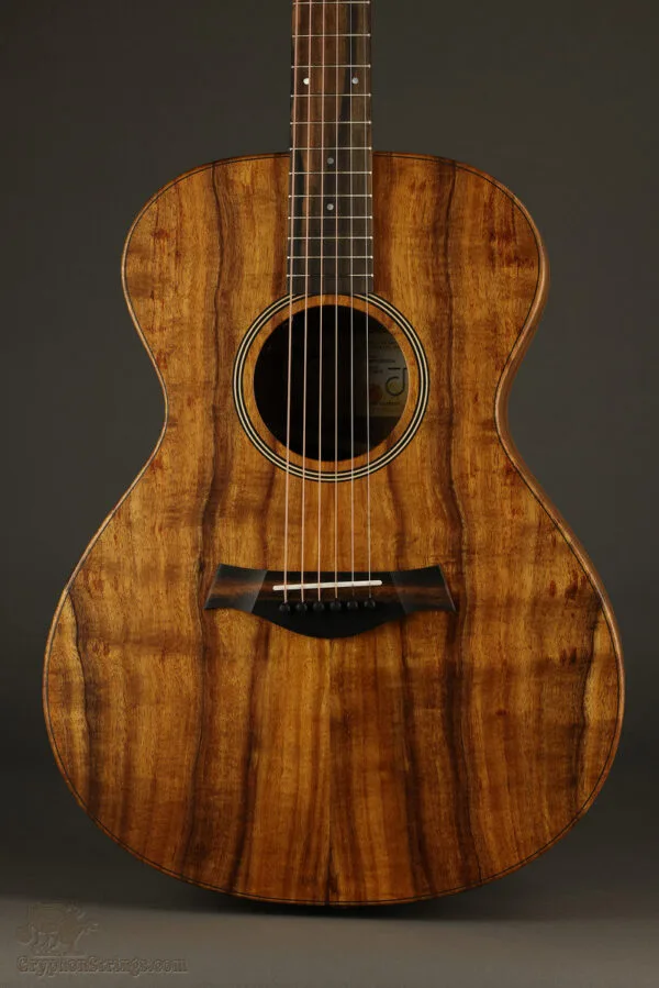 Taylor Jacob Collier Signature Model 6-String Acoustic Electric Guitar – New