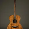 Taylor Jacob Collier Signature Model 6-String Acoustic Electric Guitar – New