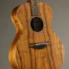 Taylor Jacob Collier Signature Model 6-String Acoustic Electric Guitar – New