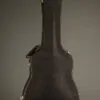 Taylor Legacy 810e Acoustic Electric Guitar – New