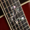 Taylor Legacy 810e Special Edition Acoustic Electric – New