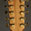 Taylor Somos 260ce-K DLX Bajo Quinto 10-string – New