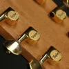 Taylor Somos 260ce-K DLX Bajo Quinto 10-string – New