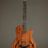 Taylor T5z Classic Semi-Hollow Electric – New