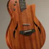 Taylor T5z Classic Semi-Hollow Electric – New