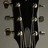 Taylor T5z Pro Semi-Hollow Electric Guitar- New