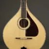 Trinity College M-375 Standard Natural Top Irish Bouzouki – New