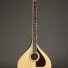 Trinity College M-375 Standard Natural Top Irish Bouzouki – New