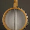 Vega White Oak 11″ 5-String Banjo – New