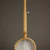 Vega White Oak 11″ 5-String Banjo – New