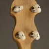 Vega White Oak 11″ 5-String Banjo – New