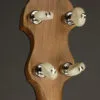 Vega White Oak 12″ 5-String Banjo – New