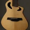Veillette Avante Gryphon 12-String Acoustic Electric Guitar New