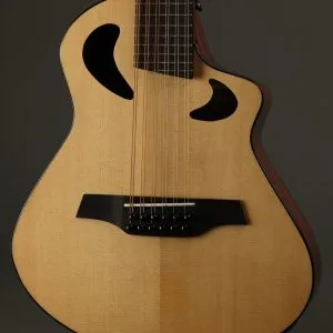 Veillette Avante Gryphon 12-String Acoustic Electric Guitar New
