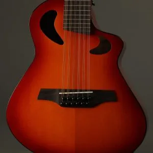 Veillette Avante Gryphon 12-String Acoustic Electric Guitar New