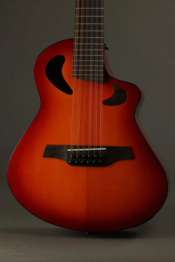 Veillette Avante Gryphon 12-String Acoustic Electric Guitar New