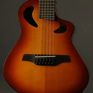 Veillette Avante Gryphon 12-String Acoustic Guitar Tobacco Burst – New