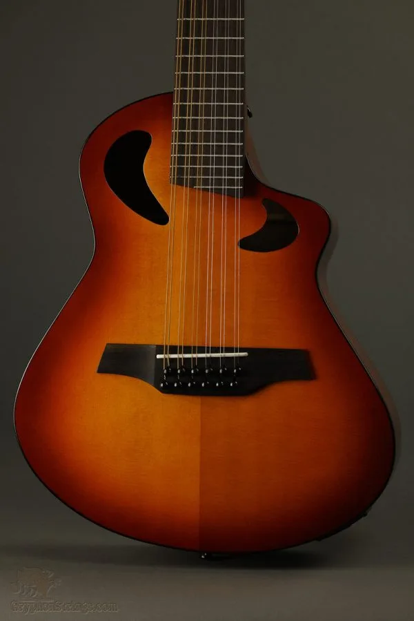 Veillette Avante Gryphon 12-String Acoustic Guitar Tobacco Burst – New