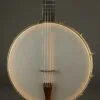 Waldman 14″ Cello 5-string Banjo – New