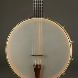 Waldman 14″ Cello 5-string Banjo – New