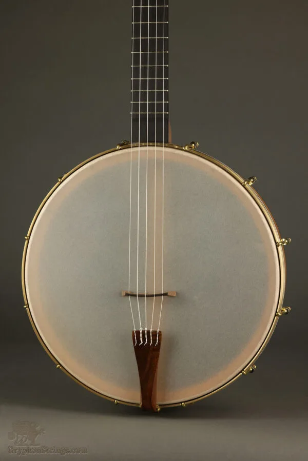 Waldman 14″ Cello 5-string Banjo – New