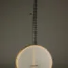 Waldman 14″ Cello 5-string Banjo – New