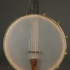 Waldman Cello 5-string Banjo – New
