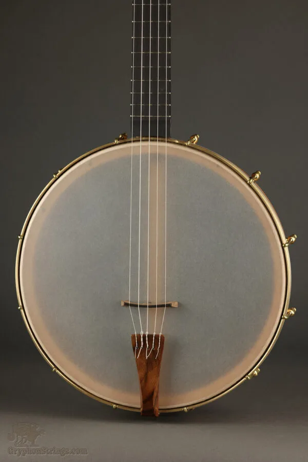Waldman Cello 5-string Banjo – New