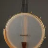 Waldman Chromatic 5-String Open Back Banjo – New