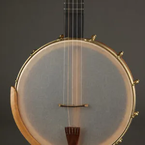 Waldman Chromatic 5-String Open Back Banjo – New