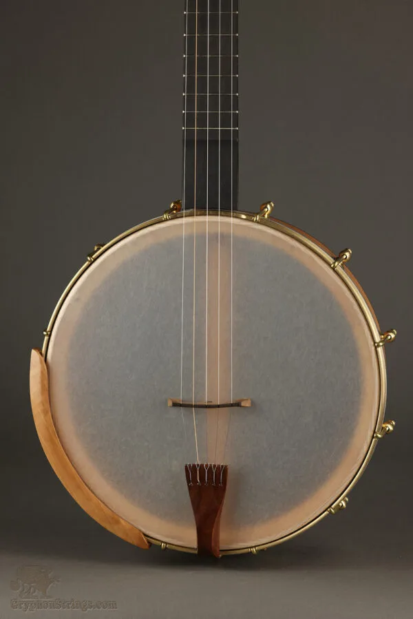 Waldman Chromatic 5-String Open Back Banjo – New