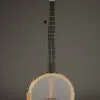Waldman Chromatic 5-String Open Back Banjo – New