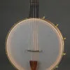 Waldman Chromatic Cherry 5-String Banjo – New