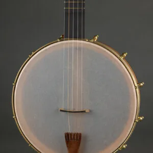 Waldman Chromatic Cherry 5-String Banjo – New