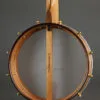 Waldman Chromatic Cherry 5-String Banjo – New