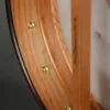 Waldman Chromatic Cherry 5-String Banjo – New